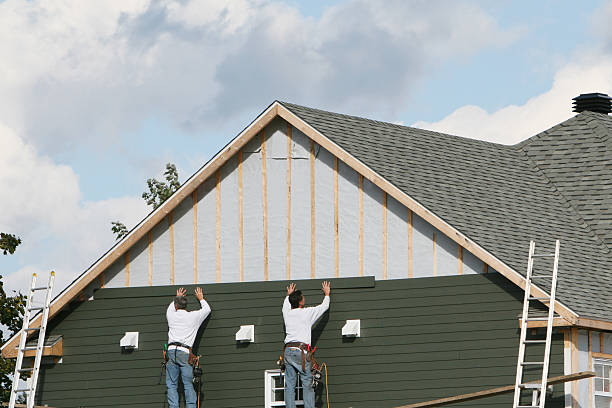 Best Custom Trim and Detailing for Siding  in Luck, WI