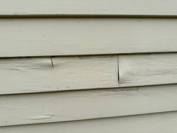 Best Fiber Cement Siding Installation  in Luck, WI